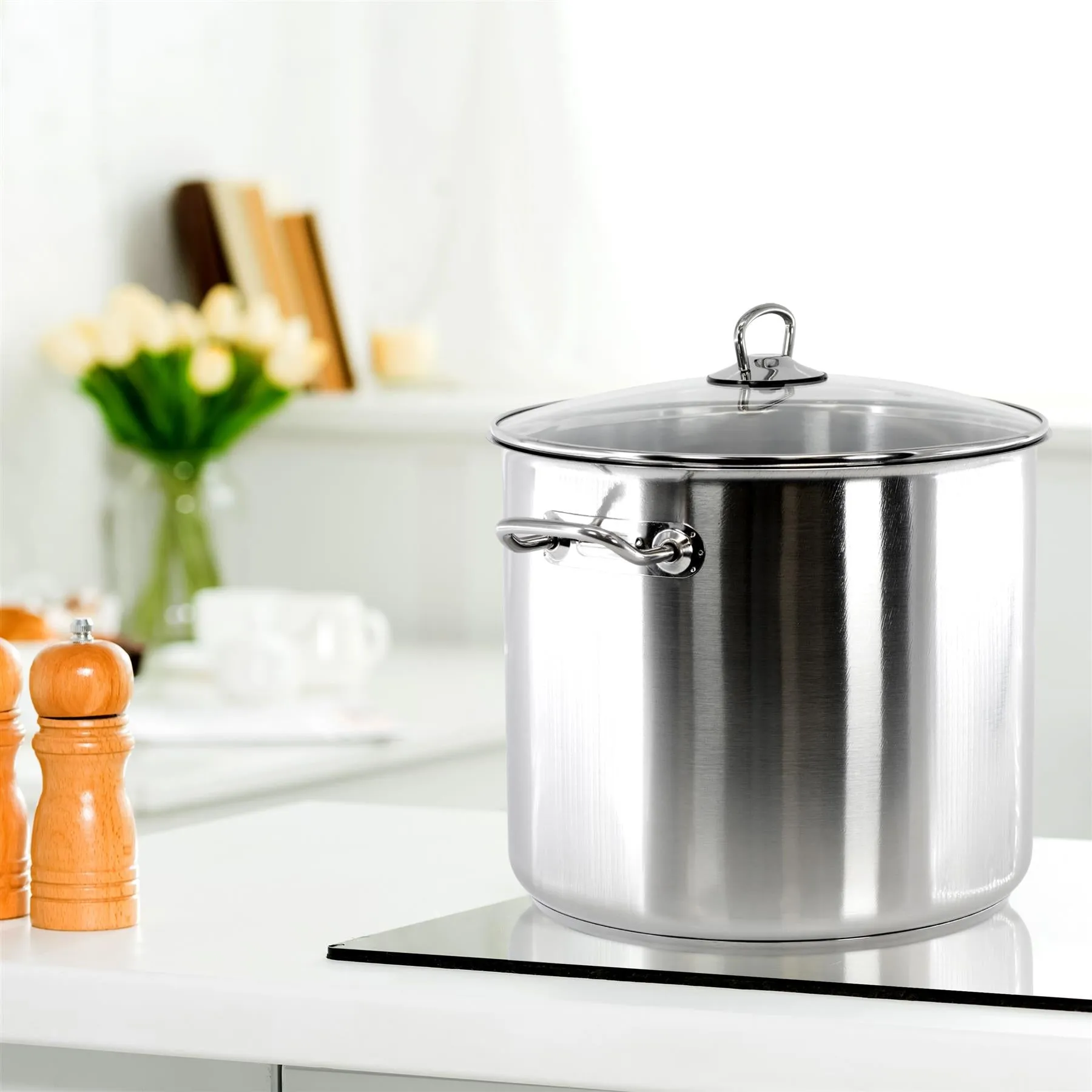 20 Litre Stock Pot With Glass Lid