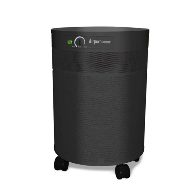 Airpura P600 HEPA Air Purifier