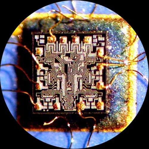 AmScope 10X-45X Magnification Super Widefield Stereo Binocular Microscope Head