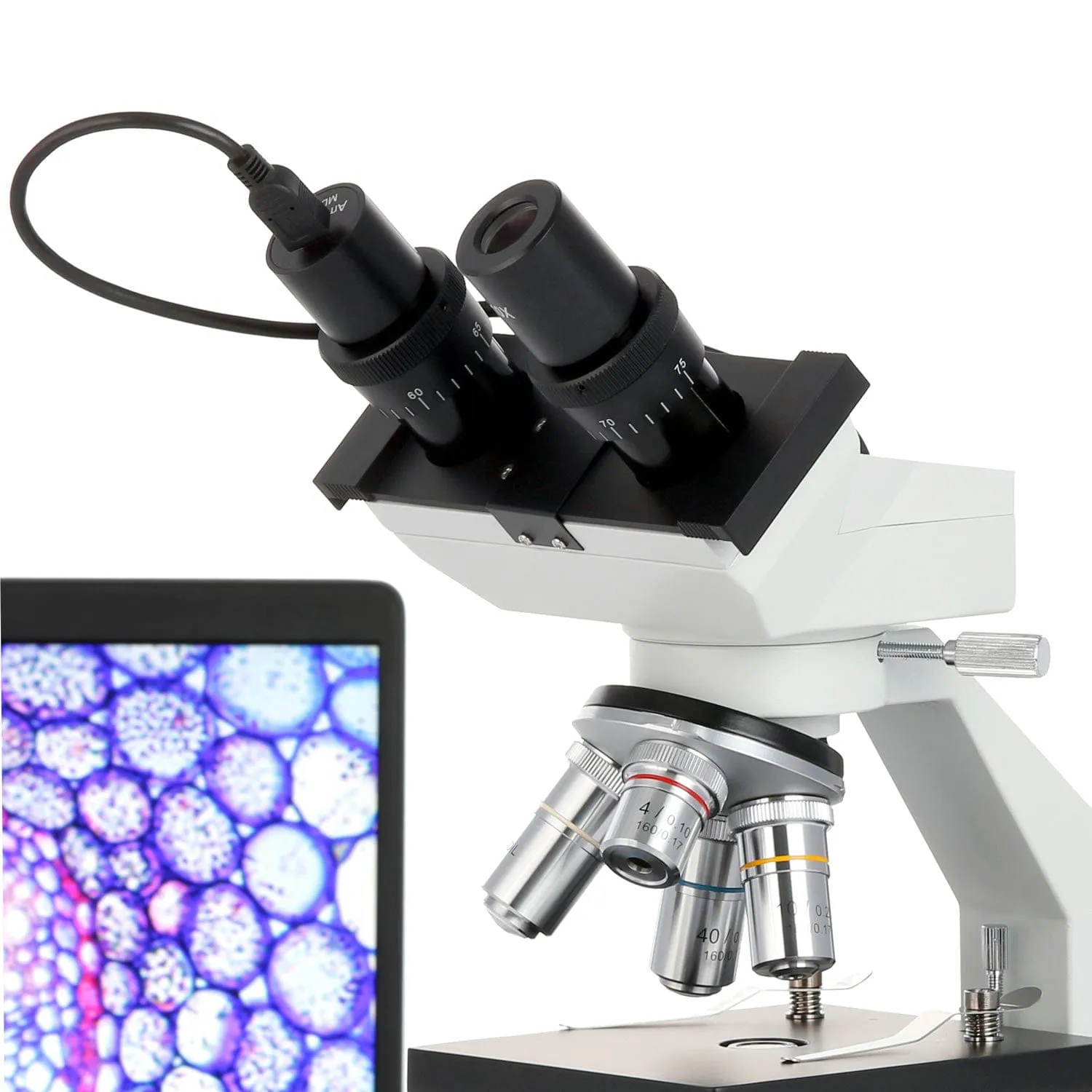 AmScope B100 Series Biological Binocular Compound Microscope 40X-2000X Magnification with Halogen and 2MP USB Digital Eyepiece Camera