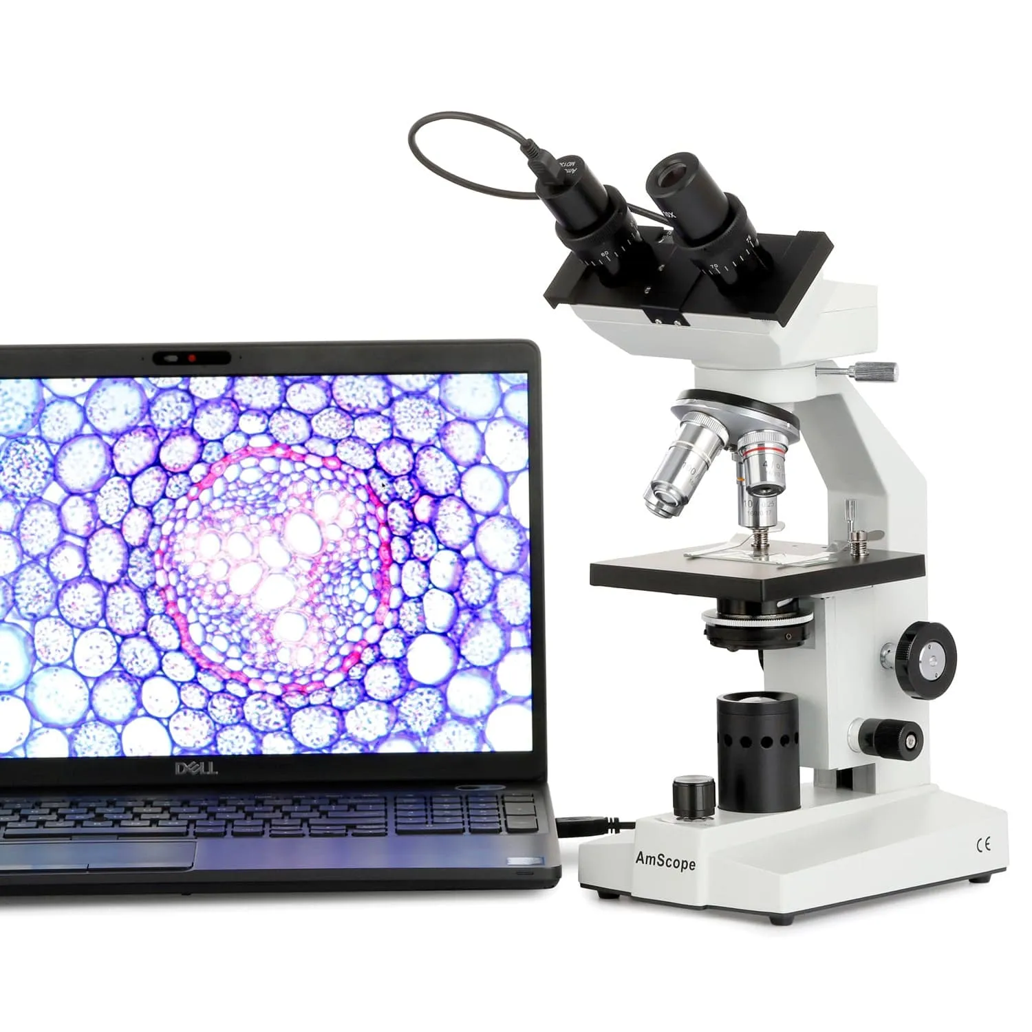 AmScope B100 Series Biological Binocular Compound Microscope 40X-2000X Magnification with Halogen and 2MP USB Digital Eyepiece Camera