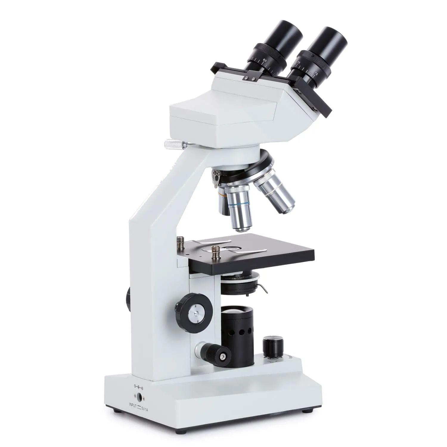 AmScope B100 Series Biological Binocular Compound Microscope 40X-2000X Magnification with Halogen and 2MP USB Digital Eyepiece Camera