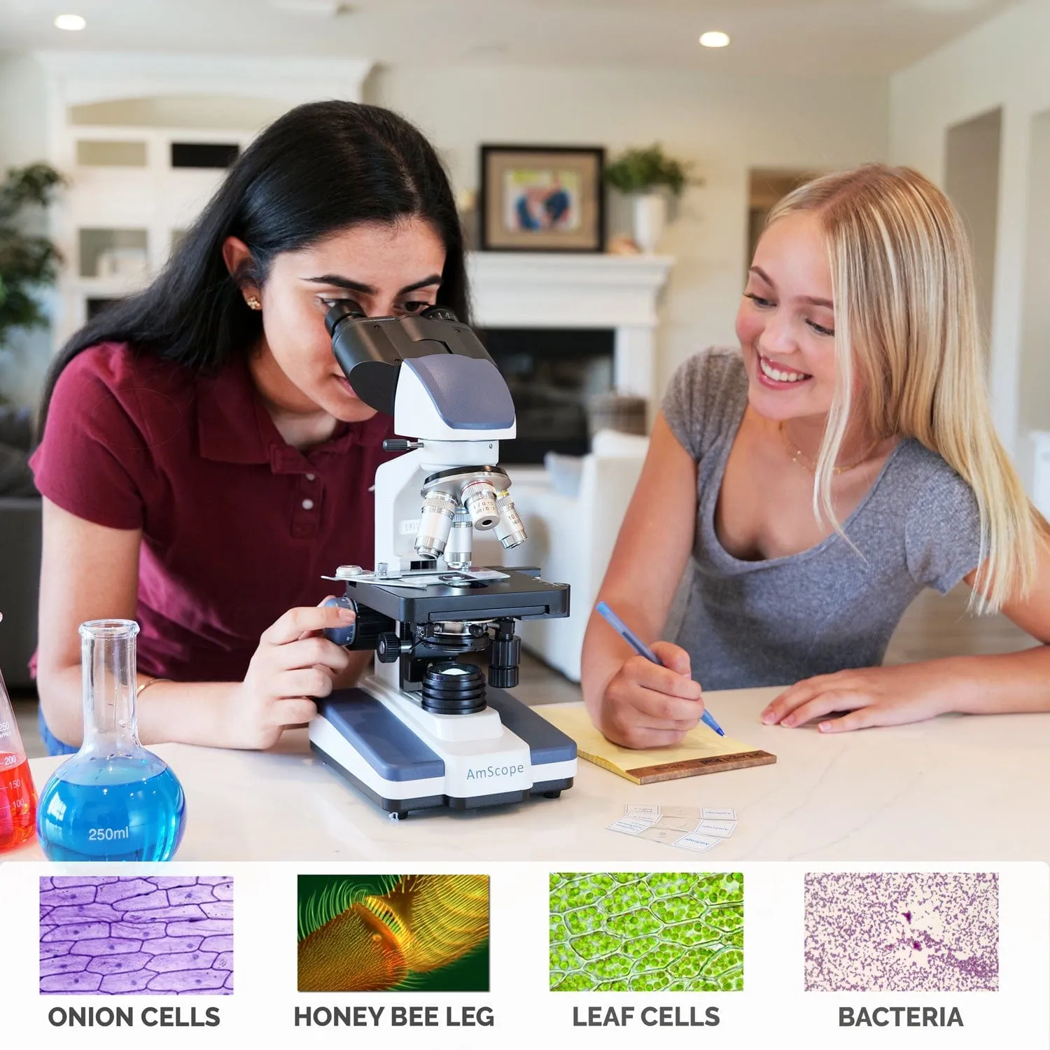 AmScope B120 Series Binocular Compound Microscope 40X-2000X Magnification with LED, Siedentopf Head, 3D Stage   Microscope Book