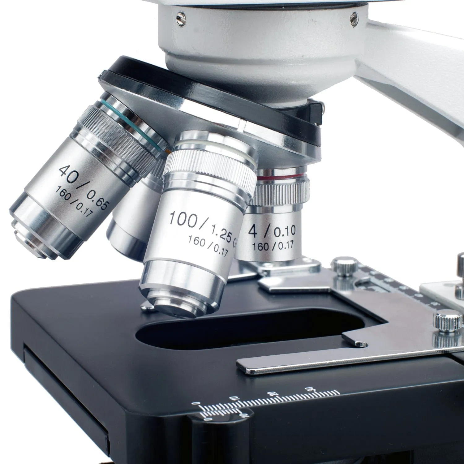 AmScope B120 Series Binocular Compound Microscope 40X-2500X Magnification with LED, Siedentopf Head, 50pc Blank Slides and 10MP Digital Camera