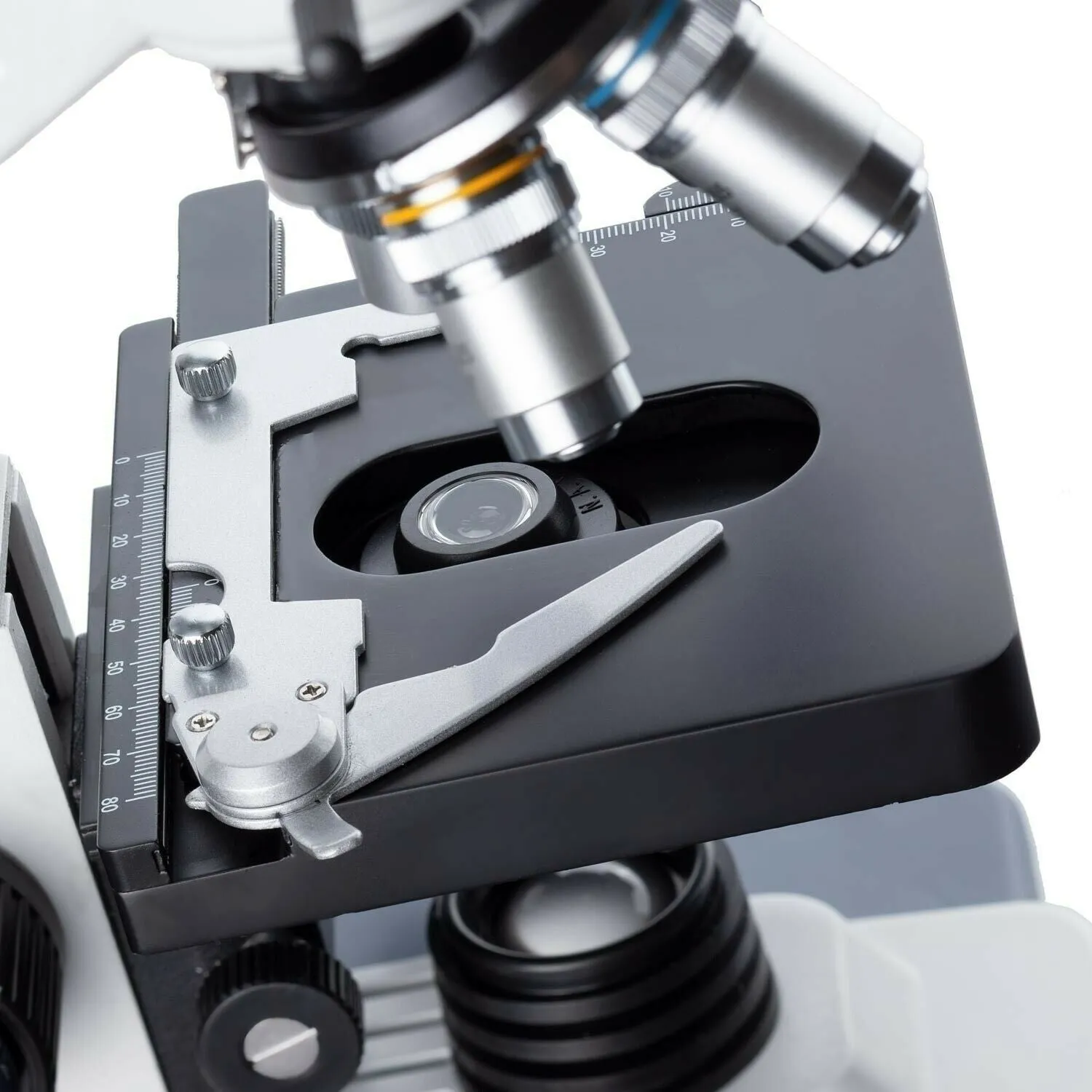AmScope B120 Series Binocular Compound Microscope 40X-2500X Magnification with LED, Siedentopf Head and 25 Prepared Slides