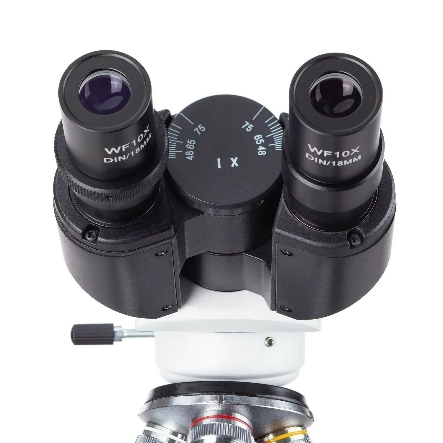 AmScope B120 Series Binocular Compound Microscope 40X-2500X Magnification with LED, Siedentopf Head and 25 Prepared Slides