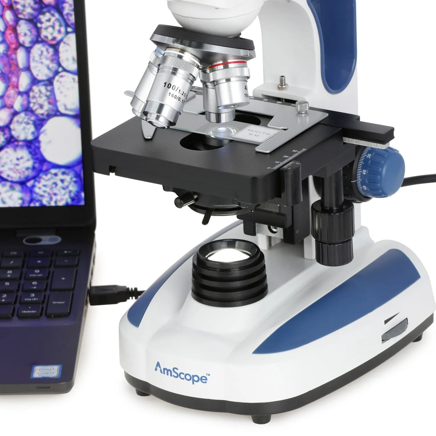 AmScope B270 Series Advanced Student & Professional Binocular Compound Microscope w/ Ergonomic Design, Microbe Resistant Coating, Optional Digital Camera, one set of 50 pack blank slides, 100 pack cover slips and 25 transfer pipettes