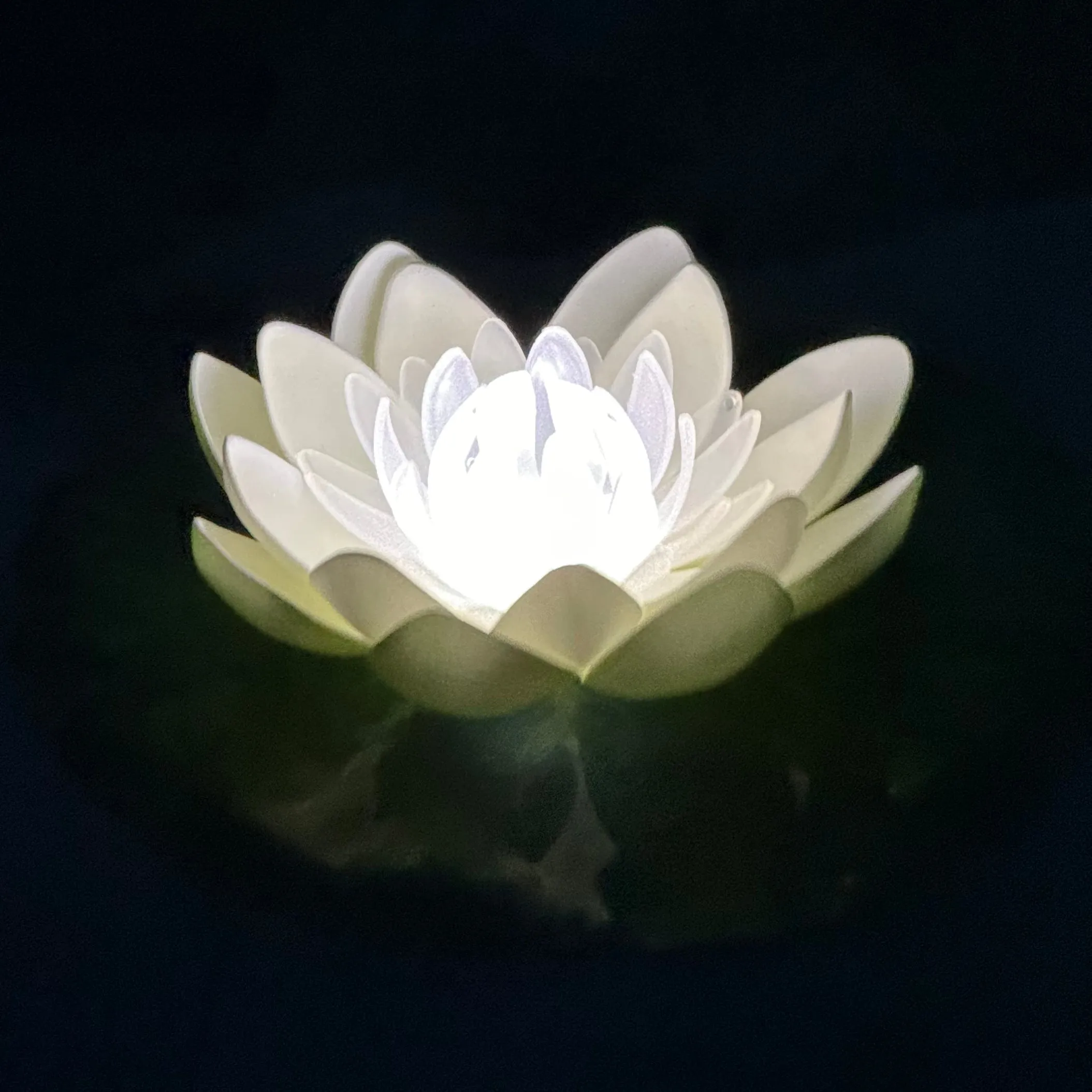 Deluxe LED Lotus