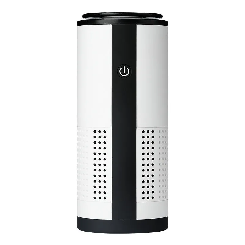 Negative ion vehicle air purifier